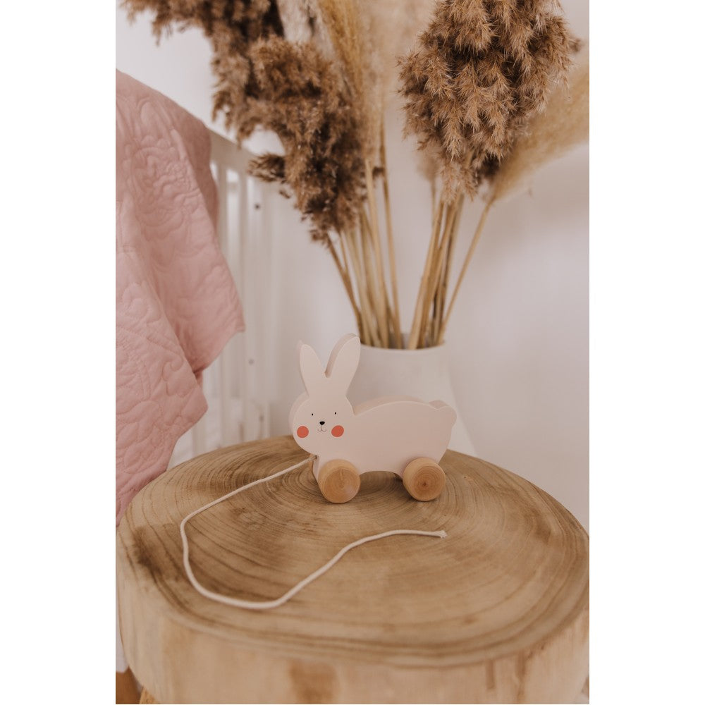 Bubble Wooden Rabbit Pull Along