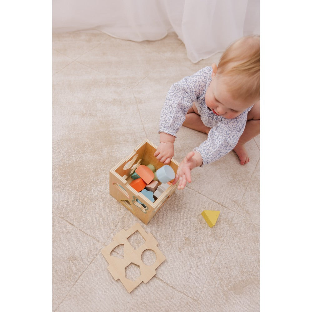 Bubble Wooden Shape Sorting Cube