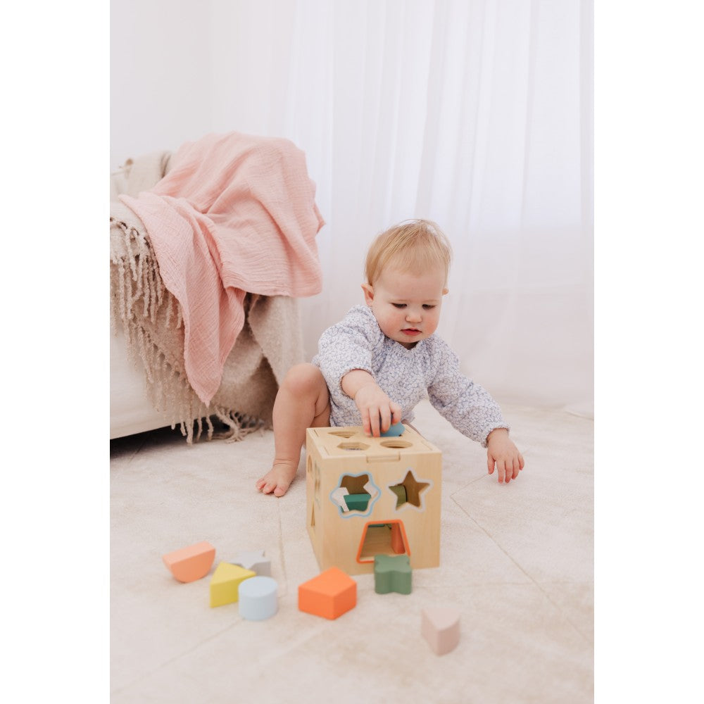 Bubble Wooden Shape Sorting Cube