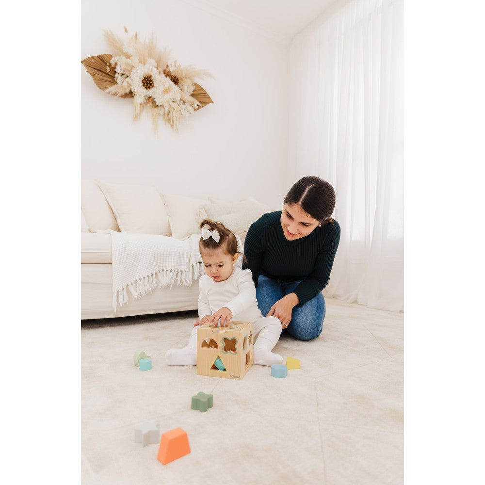 Bubble Wooden Shape Sorting Cube