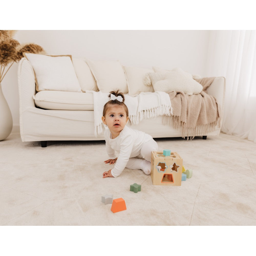 Bubble Wooden Shape Sorting Cube