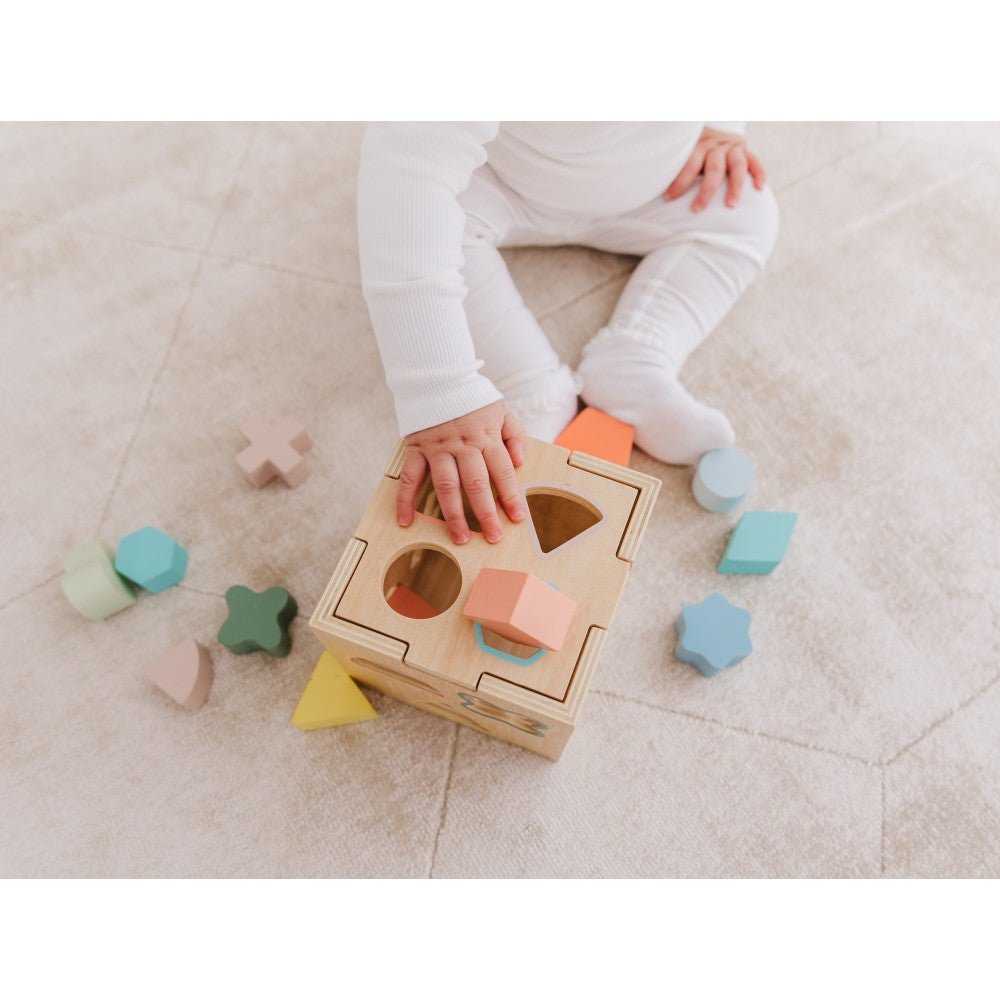 Bubble Wooden Shape Sorting Cube