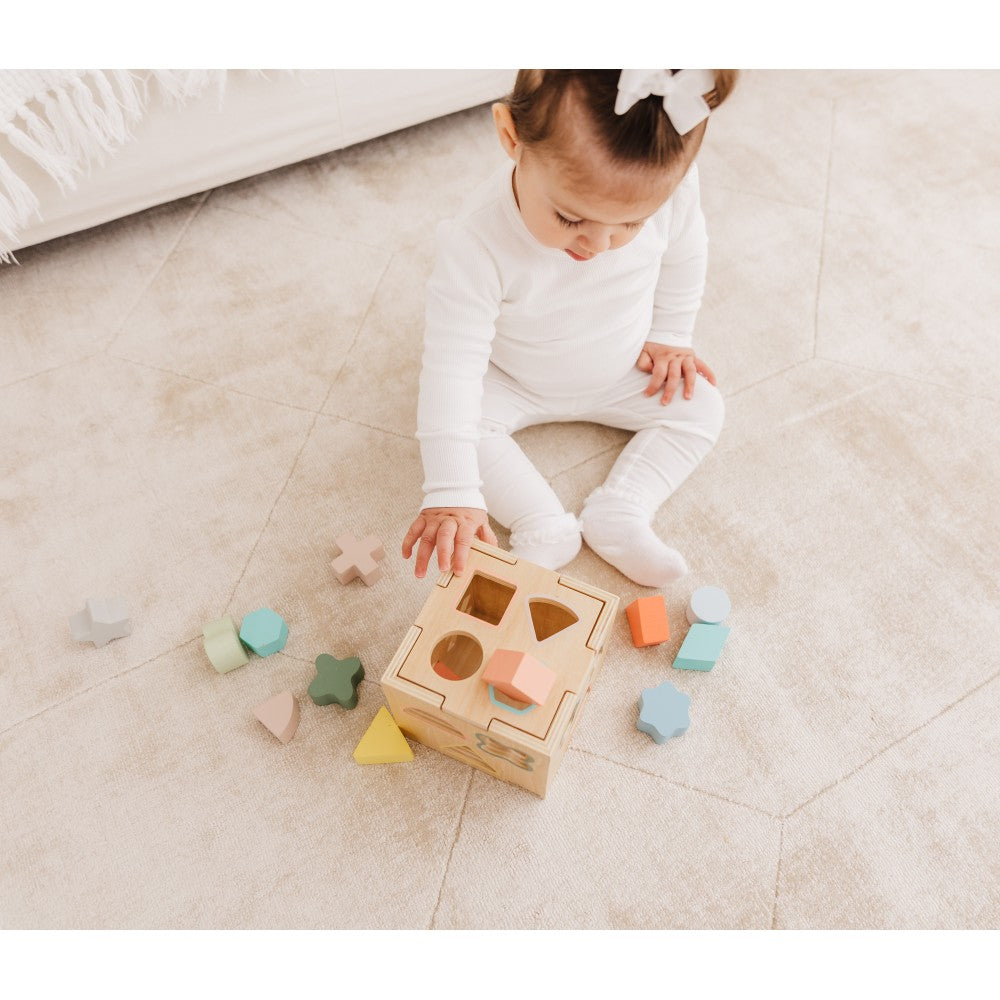 Bubble Wooden Shape Sorting Cube