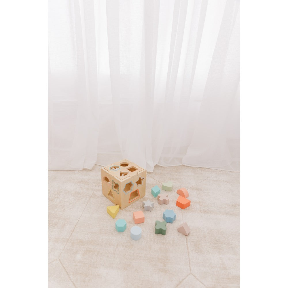 Bubble Wooden Shape Sorting Cube