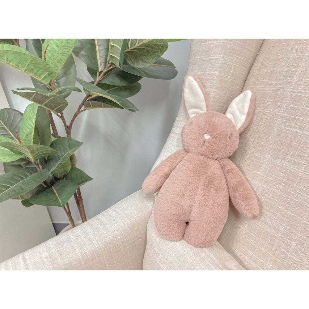 Bubble Lulabelle the Bunny